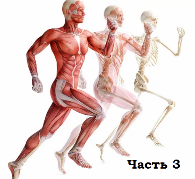 [Александр Волоткевич] Часть 3. Релаксация. Работа_0.png